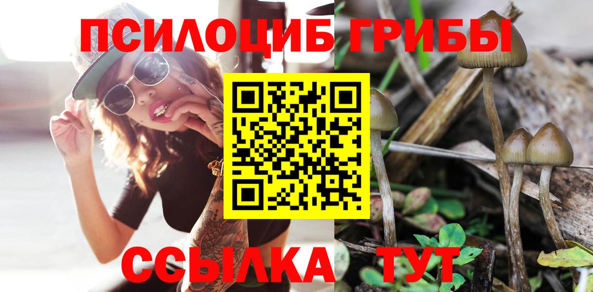 Галлюциногенные грибы мицелий  купить  цена  Солнечногорск  Вход с VPN 